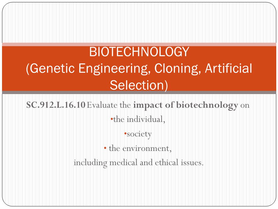 The Biotechnology of Cloning